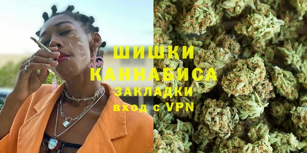 индика Михайлов