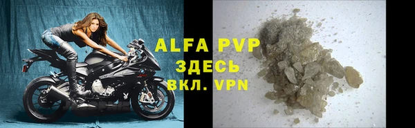 индика Михайлов