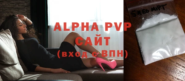 индика Михайлов