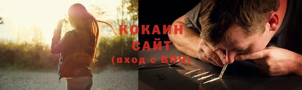 индика Михайлов