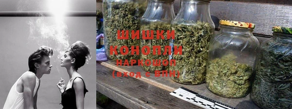 стаф Богданович