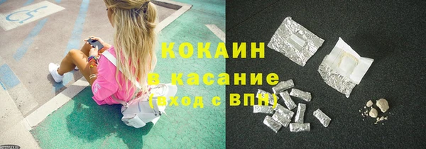 индика Михайлов
