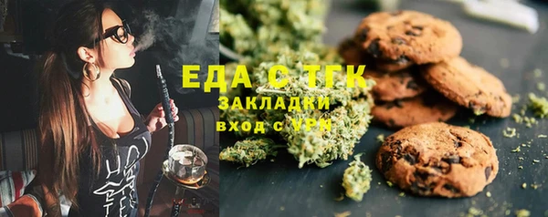 индика Михайлов