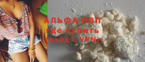 индика Михайлов