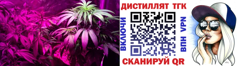 маркетплейс какой сайт  Усолье  ТГК концентрат 